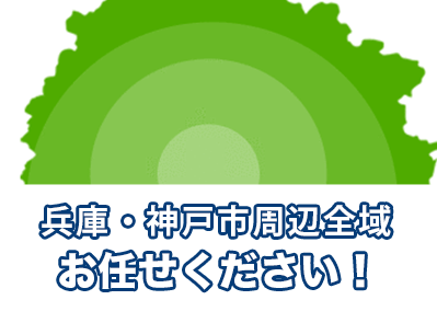 兵庫周辺周辺全域お任せください！